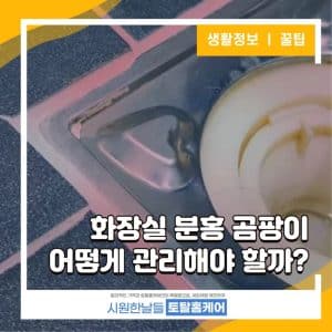 분홍곰팡이 해결