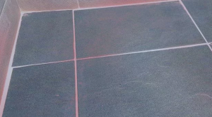 화장실 곰팡이 분홍곰팡이 제거방법