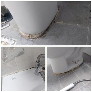 의왕시 학의동 입주청소 잘하는곳이 어디냐고요? 시원한날들이 답해드립니다.