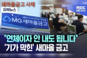 새마을금고 부실논란 새마을금고 사태 부실지점은?