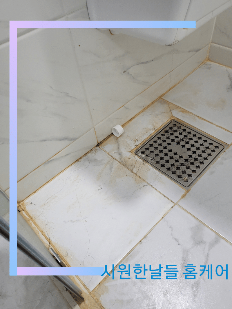 청소전문 업체에서 알려드리는 화장실,변기 곰팡이 제거 및 예방